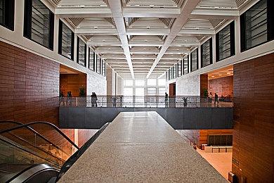 任天堂承诺《集合啦！动物森友会》仍将不断更新